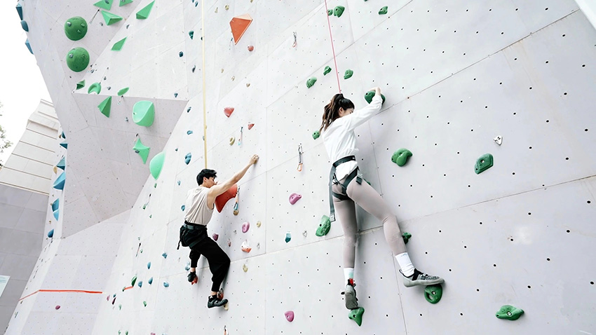 室外攀巖墻設施 戶外攀爬設施