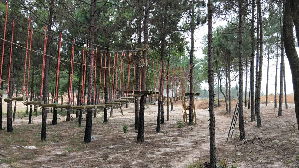 叢林穿越設(shè)備 叢林穿越設(shè)備